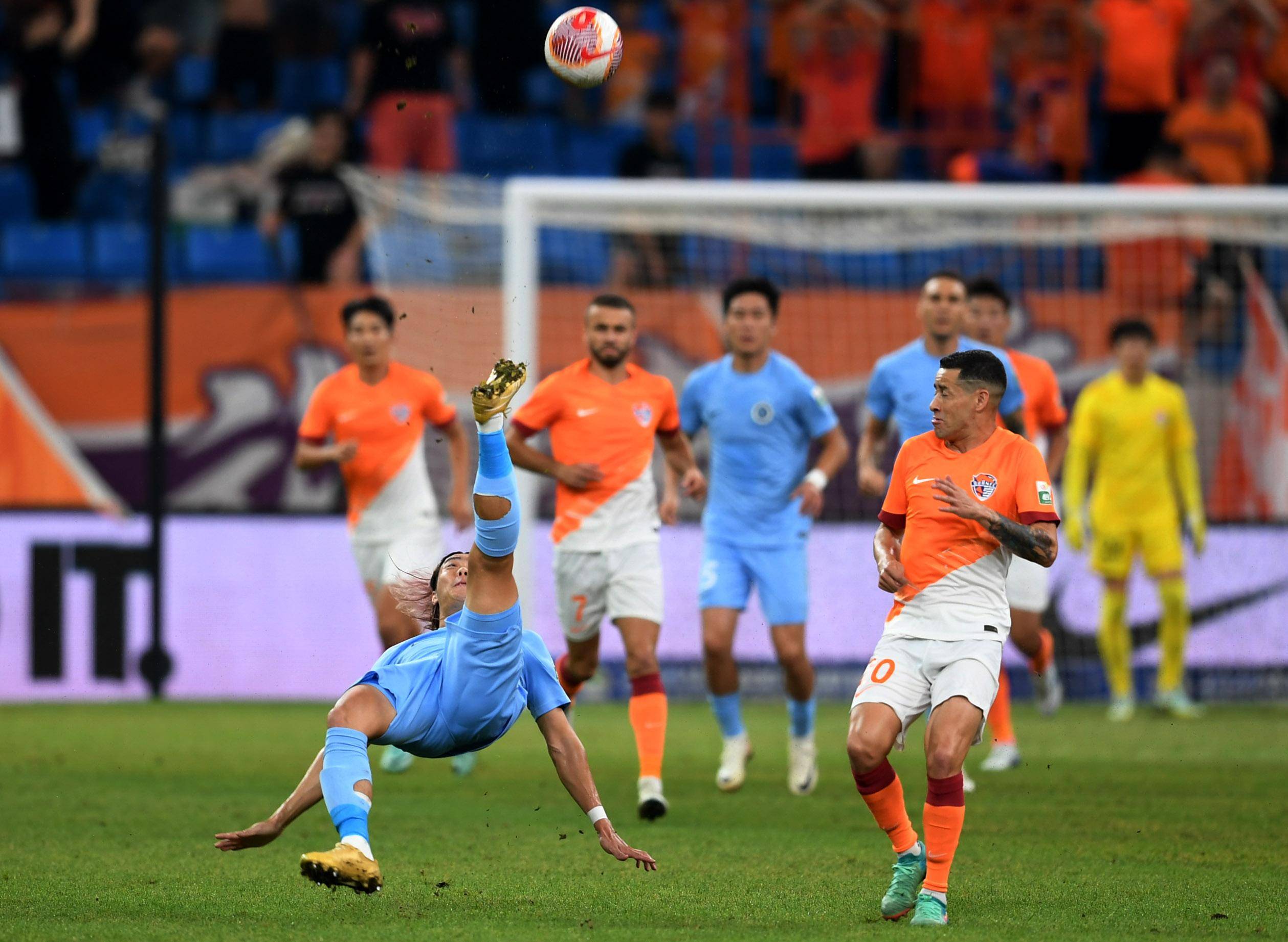 及社会责任 及社会责任