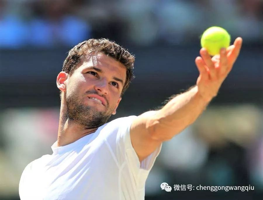 荣耀的象征 荣耀的象征