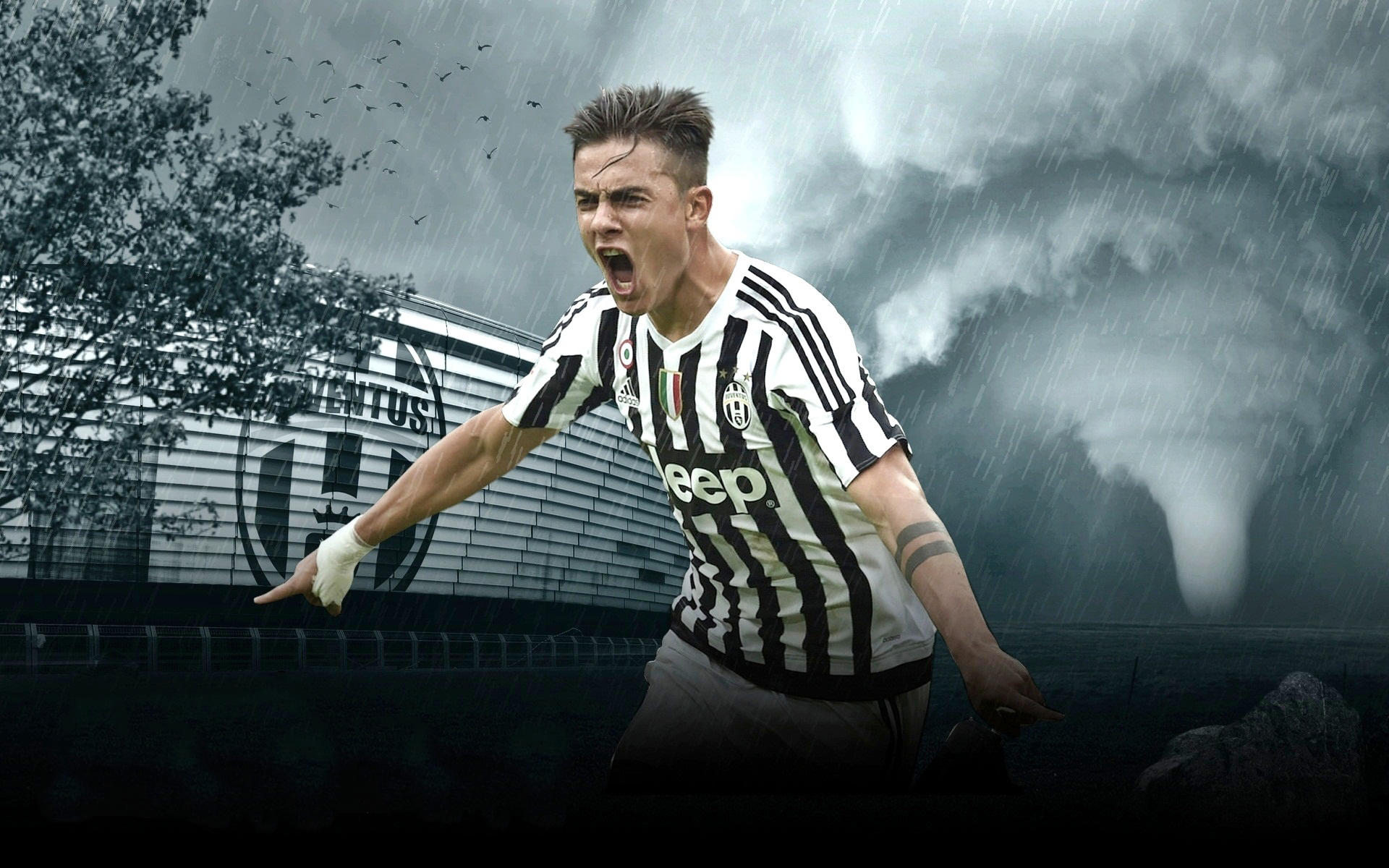 赛的立身之 赛的立身之